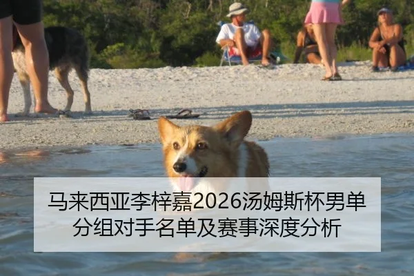 马来西亚李梓嘉2026汤姆斯杯男单分组对手名单及赛事深度分析